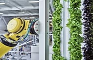 Plenty Unlimited invests US$300M in indoor vertical farm to boost fresh produce production