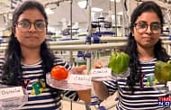 IIT Guwahati researchers create an edible coating to boost shelf-life of fruits and vegetables