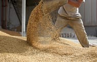 Global grain output projected to increase