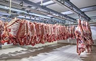 Beef Value Chain Forum raises additional funding for establishment of US$20m beef processing unit in Namibia