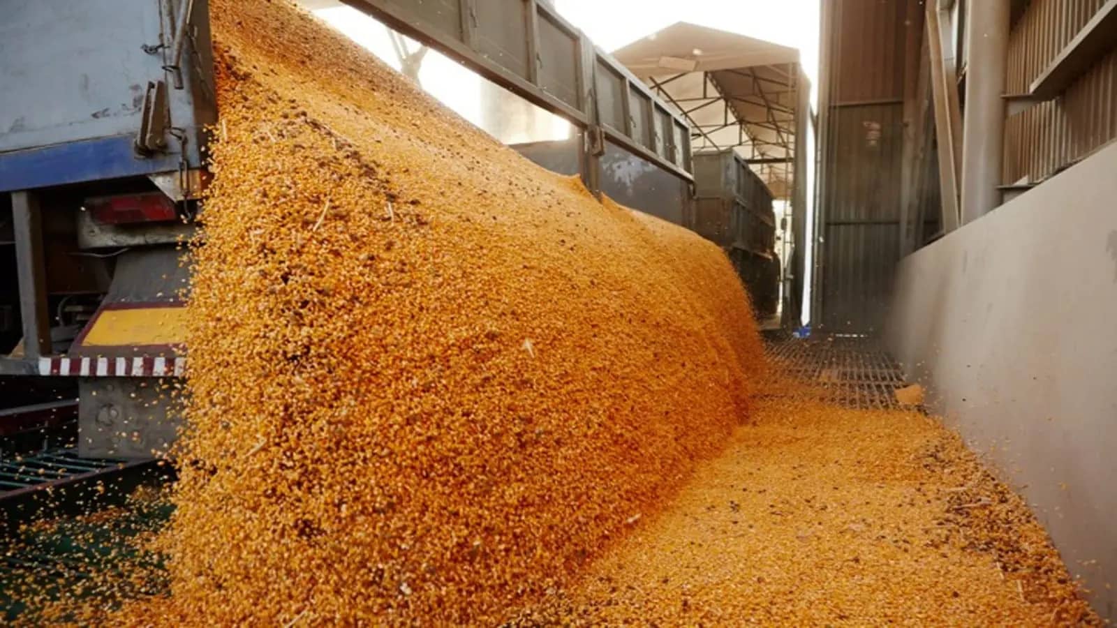 China plans to grow 40% more soybeans by 2025 to cut reliance on imports