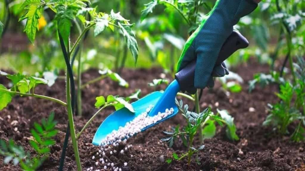 Rwanda launches US$1.8m soil fertility program funded by Bill and Melinda Gates Foundation
