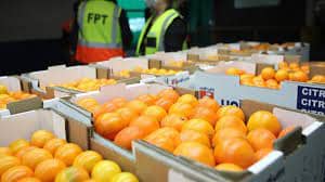 SA government puts foot forward to restore Durban port, critical for continuity of citrus exports