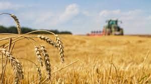 Australia expects another big grain crop harvest in 2022-2023 market year