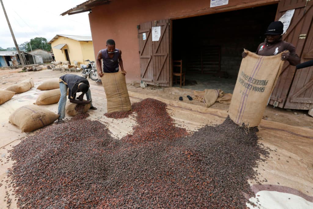 Ghanaian cocoa processor Koa receives US$3.5m support from small-holder farmers focused funds