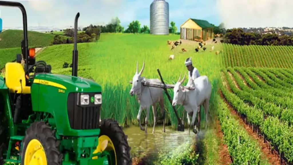 Rural Electrification Agency plans 10,000 mini-grids for Nigeria’s rural farms