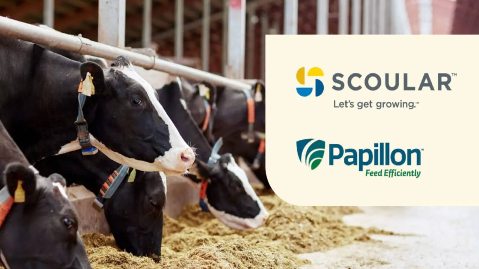 Scoular to begin producing bypass protein products for new partner, Papillon Agricultural Company