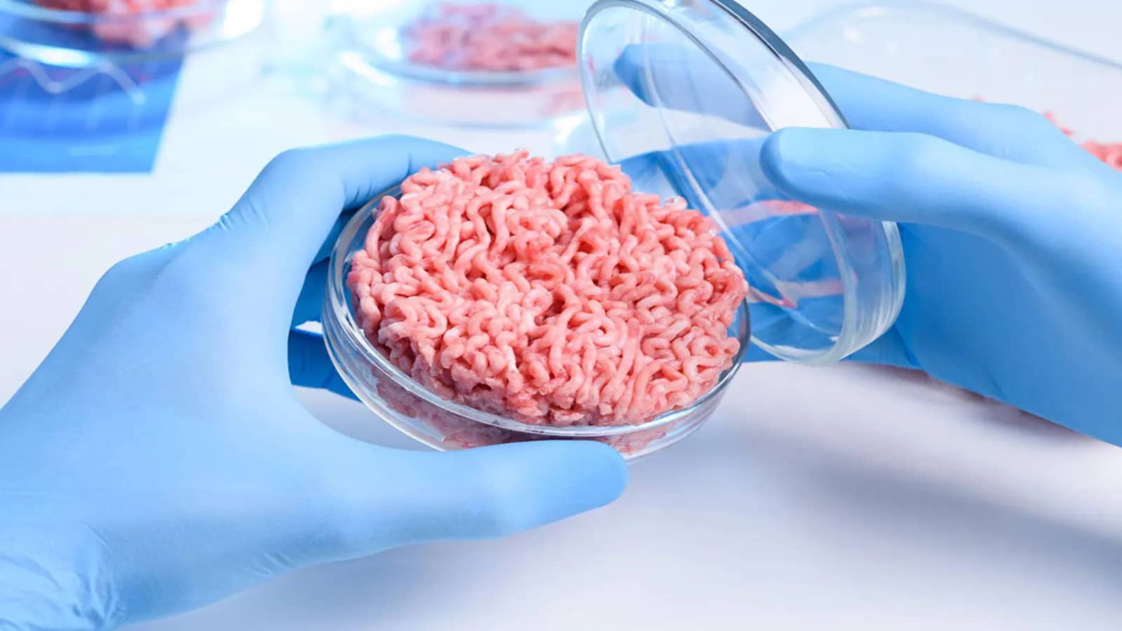 SuperMeat obtains grant from Israel Government to bolster capacity for cultivate meat ingredients