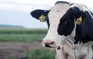 US Department of Agriculture injects US$80m into dairy industry to support long-term resilience  