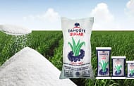 Dangote Sugar’s full year profit gets nipped by high production costs