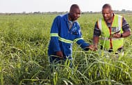 Illovo Sugar pilots new tech in Malawi aimed to minimize water loss during irrigation
