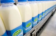 FrieslandCampina invests in new PET line to accelerate transition to sustainable packaging 