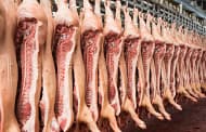 China releases frozen pork from reserves to tame rising Pork prices