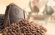 Barry Callebaut explores ways to realize a sustainable supply chain