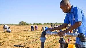 Senegalese irrigation solution provider Delta Irrigation finds new owner in Morocco based CMGP